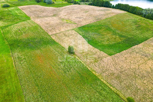 Działka na sprzedaż 56500m2 drawski Złocieniec Warniłęg - zdjęcie 4