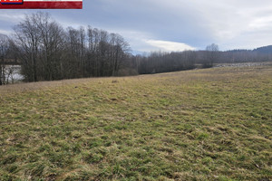 Działka na sprzedaż 11600m2 kłodzki Lądek-Zdrój Radochów - zdjęcie 2