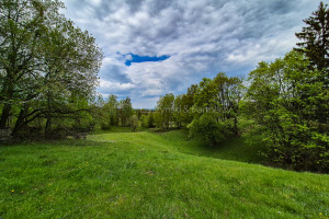 Dom na sprzedaż 540m2 karkonoski Podgórzyn Borowice - zdjęcie 2