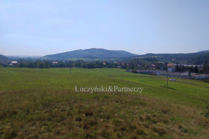 Działka na sprzedaż 2991m2 kamiennogórski Marciszów - zdjęcie 1