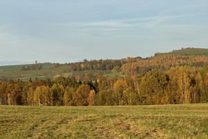 Działka na sprzedaż 9400m2 karkonoski Jeżów Sudecki Siedlęcin - zdjęcie 1