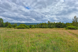 Działka na sprzedaż 13200m2 karkonoski Stara Kamienica Antoniów - zdjęcie 4