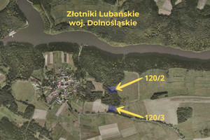 Działka na sprzedaż 8900m2 lubański Leśna Złotniki Lubańskie - zdjęcie 3