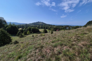 Działka na sprzedaż 6774m2 karkonoski Mysłakowice Karpniki - zdjęcie 2