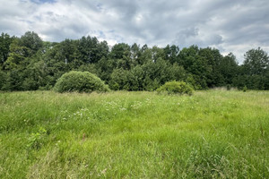 Działka na sprzedaż 8900m2 lubański Leśna Złotniki Lubańskie - zdjęcie 1