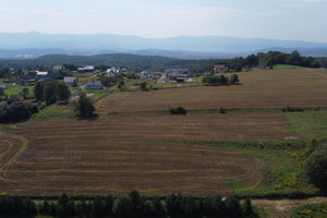 Działka na sprzedaż 1425m2 karkonoski Jeżów Sudecki Dziwiszów - zdjęcie 2