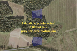 Działka na sprzedaż 8900m2 lubański Leśna Złotniki Lubańskie - zdjęcie 2