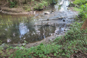 Działka na sprzedaż 8241m2 złotoryjski Wojcieszów Bolesława Chrobrego - zdjęcie 3