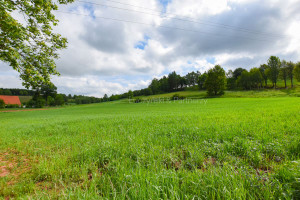 Działka na sprzedaż 2900m2 kamiennogórski Kamienna Góra Olszyny - zdjęcie 3