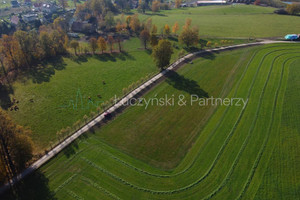 Działka na sprzedaż 7547m2 karkonoski Janowice Wielkie - zdjęcie 3