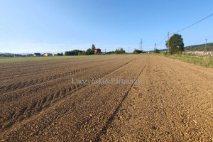 Działka na sprzedaż 1545m2 kamiennogórski Kamienna Góra Czadrów - zdjęcie 1