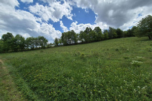 Działka na sprzedaż 4800m2 karkonoski Stara Kamienica Chromiec - zdjęcie 2