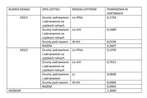 Działka na sprzedaż 13600m2 jaworski Bolków Lipa - zdjęcie 3