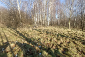 Działka na sprzedaż 1300m2 karkonoski Piechowice Łąkowa - zdjęcie 2