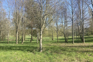 Działka na sprzedaż 3043m2 piski Pisz Kwik - zdjęcie 2