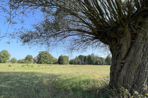 Działka na sprzedaż wołomiński Wołomin Helenów - zdjęcie 3