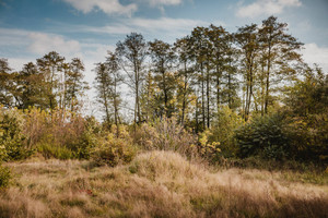 Działka na sprzedaż 9500m2 piaseczyński Piaseczno Chylice - zdjęcie 1