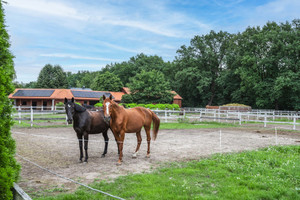 Dom na sprzedaż 450m2 piaseczyński Prażmów Łoś - zdjęcie 2