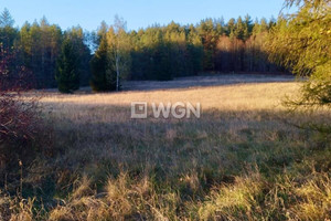 Działka na sprzedaż 3009m2 węgorzewski Pozezdrze Kuty - zdjęcie 2