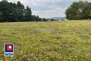 Działka na sprzedaż chrzanowski Chrzanów Płaza Podlas - zdjęcie 3