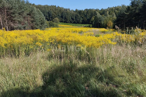 Działka na sprzedaż 6703m2 chrzanowski Trzebinia Młoszowa Krakowska - zdjęcie 1