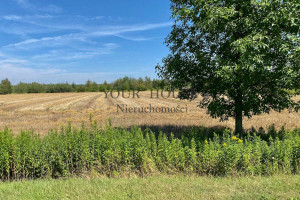 Działka na sprzedaż 1231m2 oławski Jelcz-Laskowice Miłoszyce Asnyka - zdjęcie 1