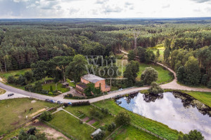 Komercyjne na sprzedaż 1000m2 świecki Jeżewo Pięćmorgi - zdjęcie 3