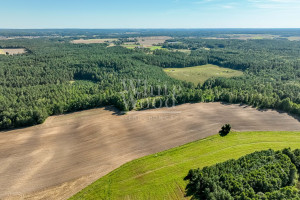 Działka na sprzedaż 453100m2 wejherowski Linia Kętrzyno - zdjęcie 3