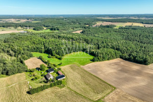 Działka na sprzedaż 453100m2 wejherowski Linia Kętrzyno - zdjęcie 2