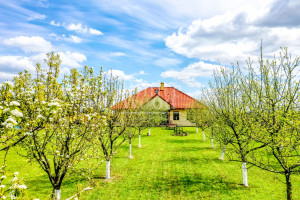 Dom na sprzedaż 150m2 kwidzyński Kwidzyn - zdjęcie 3