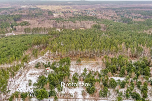 Działka na sprzedaż 9751m2 wejherowski Choczewo Sasino Stara Cegielnia - zdjęcie 2