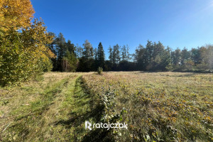 Działka na sprzedaż 8733m2 wejherowski Wejherowo Zbychowo Szczęśliwa - zdjęcie 3