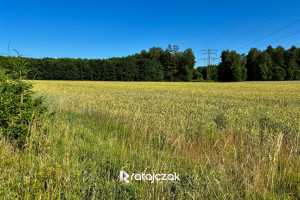 Działka na sprzedaż 12600m2 Gdańsk Matarnia Klukowo Zenitowa - zdjęcie 3