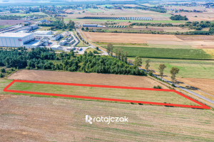 Działka na sprzedaż 9632m2 pucki Puck Łebcz Dr. Augusta Oetkera - zdjęcie 2