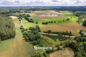 Działka na sprzedaż 3731m2 wejherowski Linia Smażyno - zdjęcie 2