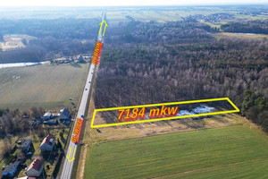 Działka na sprzedaż 7184m2 gliwicki Pilchowice Kuźnia Nieborowska Rybnicka - zdjęcie 1