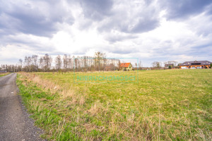 Działka na sprzedaż grodziski Jaktorów - zdjęcie 1