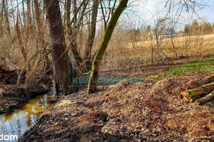 Działka na sprzedaż 8200m2 grodziski Żabia Wola - zdjęcie 3