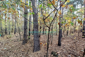 Działka na sprzedaż 1864m2 grodziski Żabia Wola Bieniewiec - zdjęcie 3