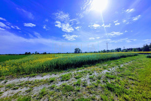 Działka na sprzedaż 3600m2 grodziski Grodzisk Mazowiecki Chlebnia - zdjęcie 1