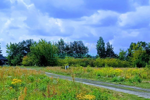 Działka na sprzedaż 2000m2 grodziski Żabia Wola Ojrzanów - zdjęcie 2