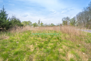 Działka na sprzedaż 3000m2 grodziski Grodzisk Mazowiecki - zdjęcie 2