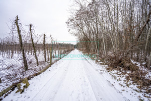 Działka na sprzedaż 18603m2 grodziski Żabia Wola Ojrzanów - zdjęcie 4