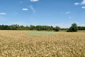 Działka na sprzedaż 3000m2 żyrardowski Radziejowice Zazdrość - zdjęcie 2