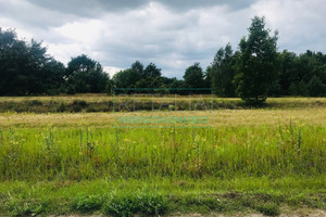 Działka na sprzedaż 1950m2 warszawski zachodni Leszno Powązki - zdjęcie 3