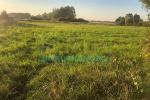 Działka na sprzedaż grodziski Grodzisk Mazowiecki Książenice - zdjęcie 1