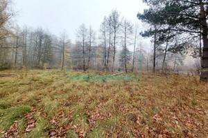 Działka na sprzedaż 21811m2 grodziski Grodzisk Mazowiecki Janinów - zdjęcie 2