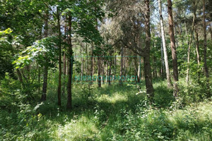 Działka na sprzedaż 3160m2 grodziski Grodzisk Mazowiecki Czarny Las - zdjęcie 1