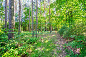 Działka na sprzedaż 4200m2 żyrardowski Radziejowice Adamów-Wieś - zdjęcie 3