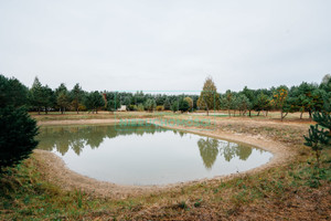 Działka na sprzedaż 12000m2 żyrardowski Radziejowice Podlasie - zdjęcie 2